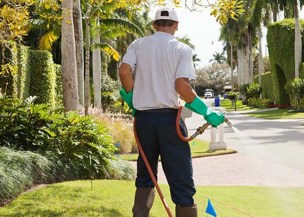 About Folly Beach SC Pest Control Pros